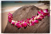 Kirtan Lei Making