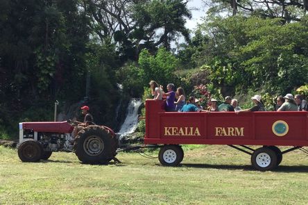 Kealia Farm Tours