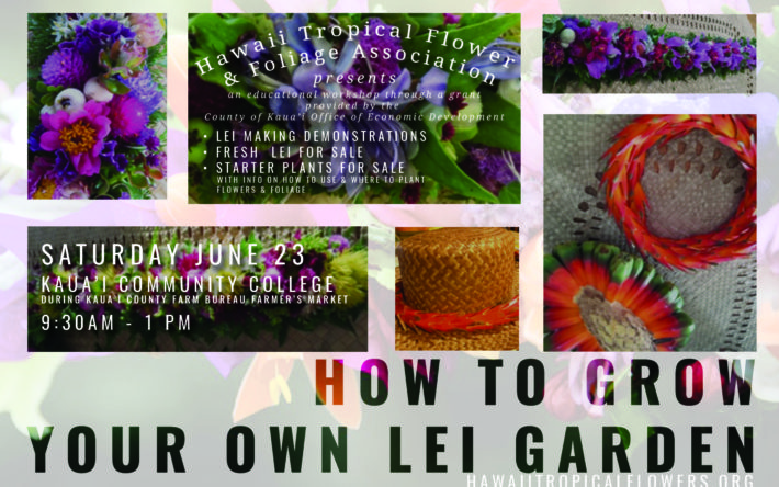 hawaii tropical flower and foliage association is presenting a workshop on how to grow your own lei garden - Lei Garden hawaii tropical flower and foliage association is presenting a workshop on how to grow your own lei garden - Lei Garden