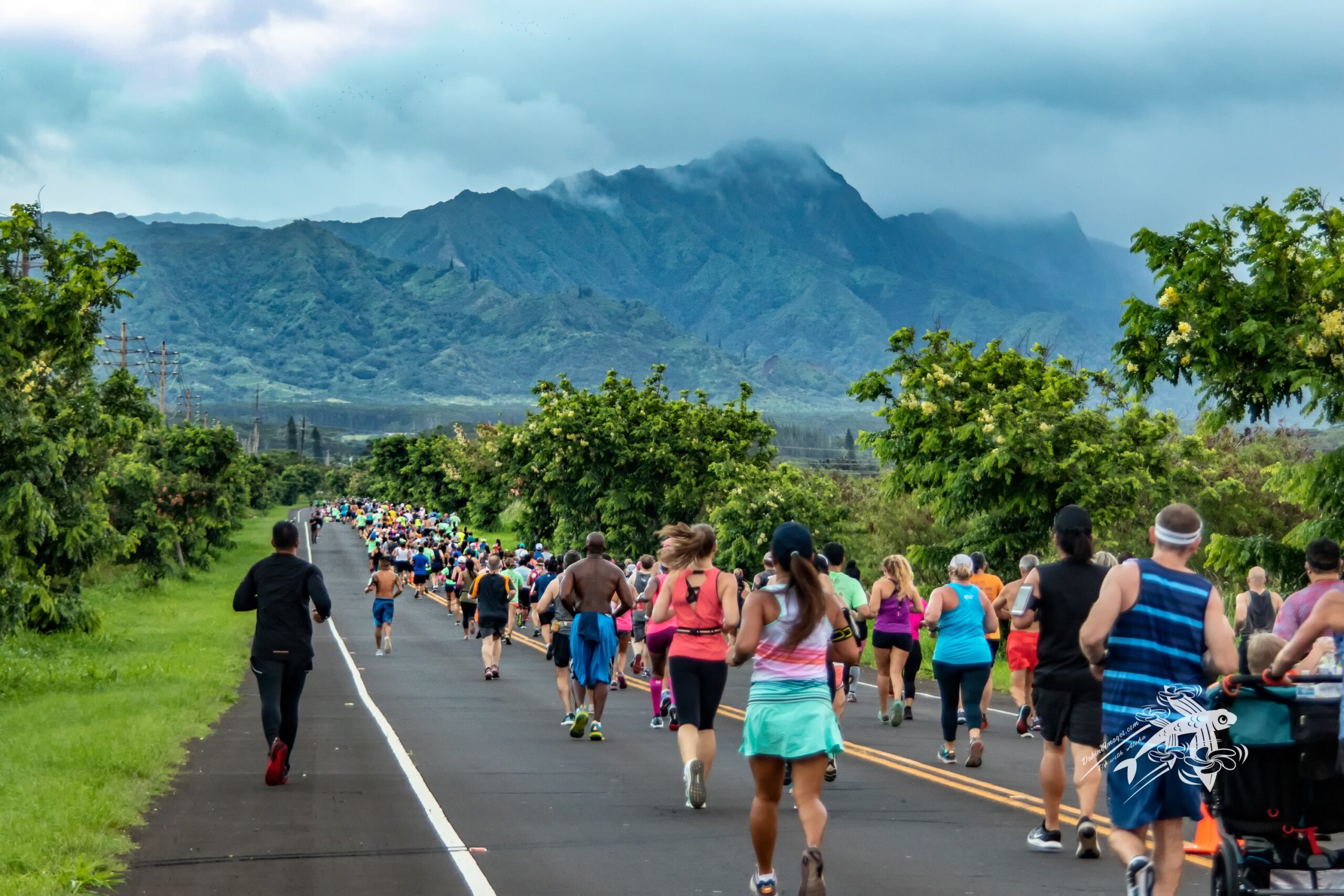 The Kauai Marathon and Half Marathon »» Kauai Festivals & Events