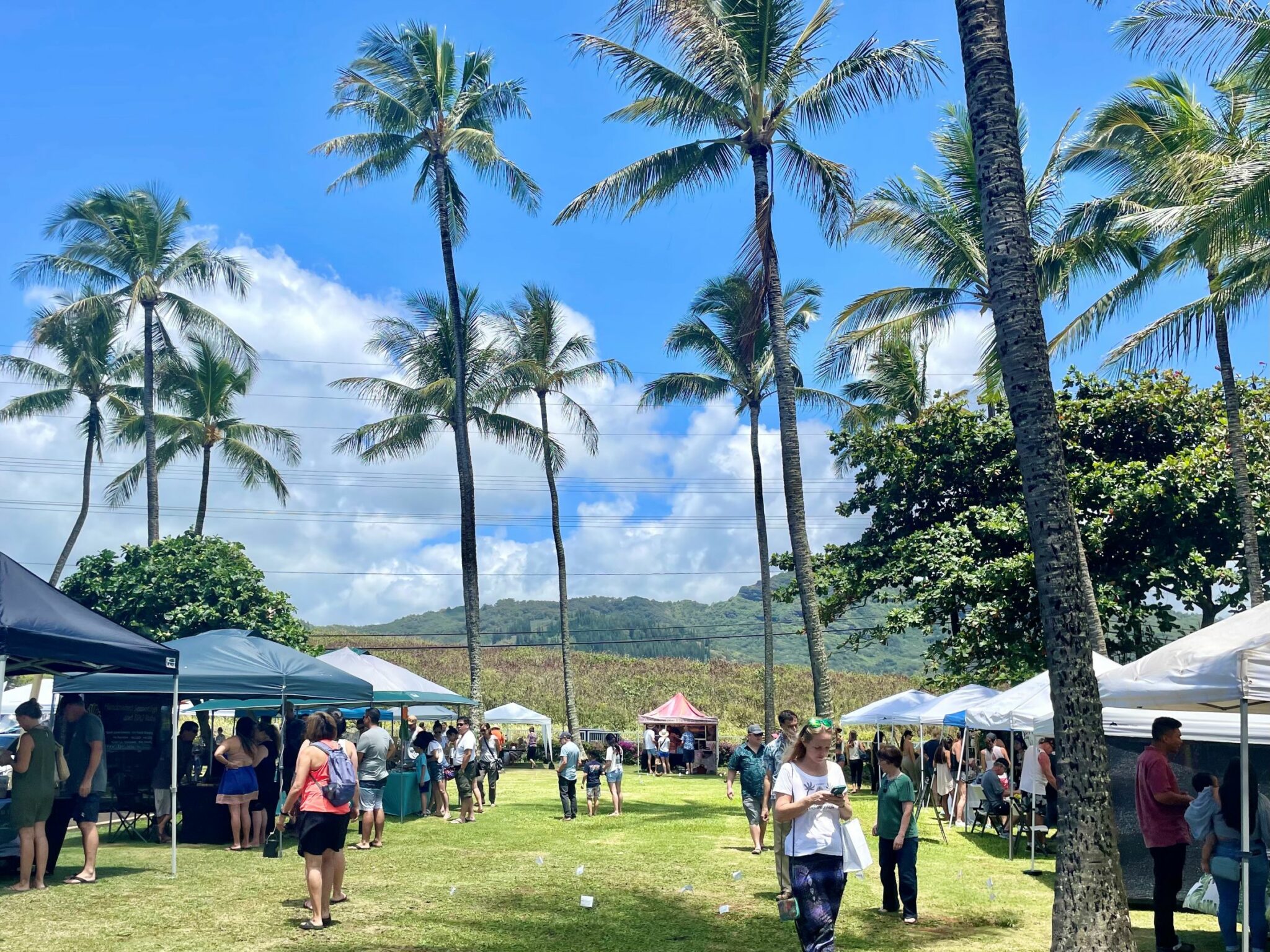 Events for February 2024 Kaua‘i Festivals & Events